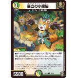 暴立の小熊猫【C】{RP1688/95}《多》