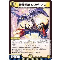 天紅連結シリディアン【R】{RP1713/95}《光》