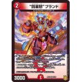 〔状態A-〕罰星怒ブランド【VR】{RP185/95}《火》