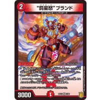 〔状態A-〕罰星怒ブランド【VR】{RP185/95}《火》