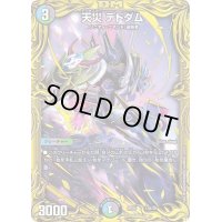 〔状態B〕天災デドダム【-】{RP2013B/20}《多》