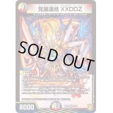 〔状態B〕覚醒連結XXDDZ【VR】{RP209/95}《多》