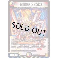 〔状態B〕覚醒連結XXDDZ【VR】{RP209/95}《多》