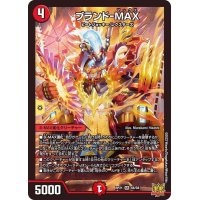〔状態B〕ブランド-MAX【SR】{RP21S6/S8}《火》