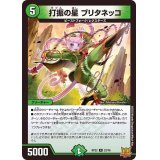 打振の星ブリタネッコ【R】{RP2223/76}《自然》