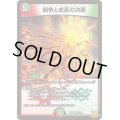 闘争と成長の決断【VR】{RP228/76}《多》