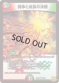 〔状態B〕闘争と成長の決断【VR】{RP228/76}《多》