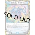 〔状態B〕異端流しオニカマス【U】{RP22T13/T20}《水》