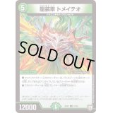 龍装車トメイテオ【R】{RP0527/93}《自然》