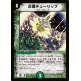 〔状態B〕応援チューリップ【VR】{DM045/55}《自然》
