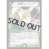 応援チューリップ【VR】{DM045/55}《自然》