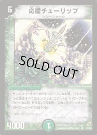 〔状態C〕応援チューリップ【VR】{DM045/55}《自然》