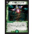 〔状態A-〕トゲ刺しマンドラ【VR】{DM0110/110}《自然》