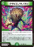 クサビエノキノヌシ【R】{26EX452/99}《自然》