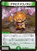 クサビナメコノヌシ【U】{26EX470/99}《自然》