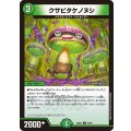 クサビタケノヌシ【C】{26EX497/99}《自然》