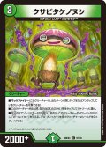 クサビタケノヌシ【C】{26EX497/99}《自然》