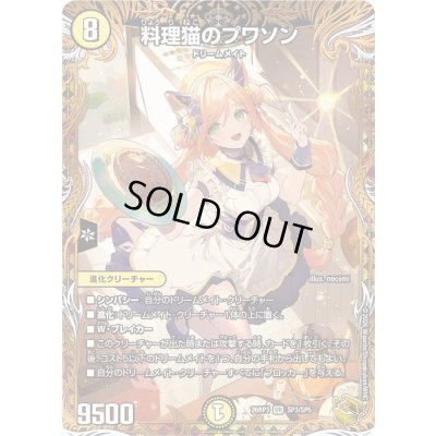 画像1: 〔状態A-〕料理猫のプワソン【VR】{26RP3SP3/SP5}《光》