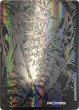 画像2: 〔状態C〕(5枚セット)零龍/滅亡の起源零無【SE】{RP12MZ1秘/MZ5}《闇》 (2)