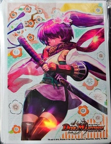 画像1: 〔状態A-〕スリーブ『[デュ円]爆熱血ロイヤル・アイラ』42枚入り【サプライ】{-} (1)