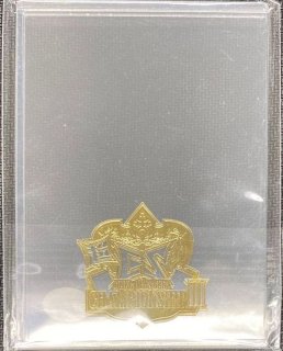 スリーブ『[GP2025-1st]星龍パーフェクト・アース』60枚入り【サプライ