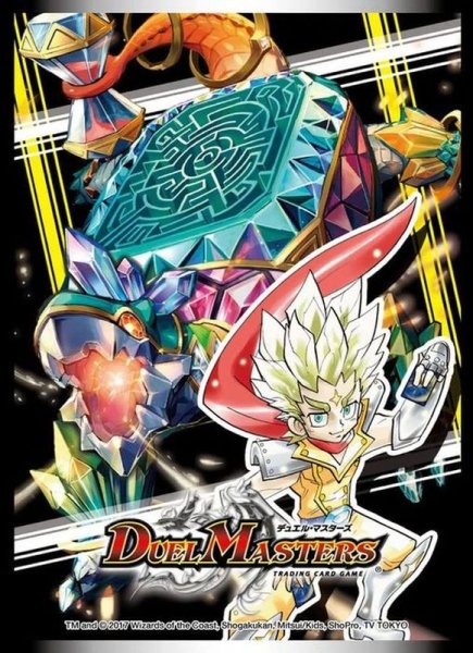 画像1: スリーブ『[DXカードプロテクト ]大迷宮亀ワンダー・タートル』42枚入り【サプライ】{-} (1)