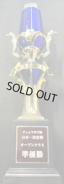 画像3: 無敵王剣ギガハート/最強熱血オウギンガ【VV】(トロフィー付き/デュエマ甲子園銀プレート)【VV】{DMR15VV1b/VV1/VV1a/VV1}《超次元》 (3)