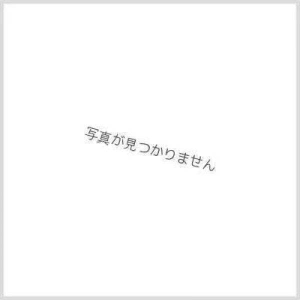 画像1: ミステリー・キューブ【R】{P109/Y23}《自然》 (1)