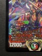 画像5: 〔状態B〕偽りの王ヴィルヘルム【SR】{P44/Y15}《多》 (5)
