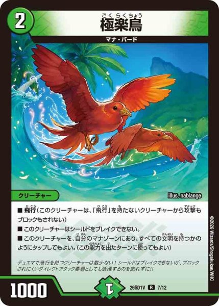 画像1: 極楽鳥【R】{26SD1V7/12}《自然》 (1)
