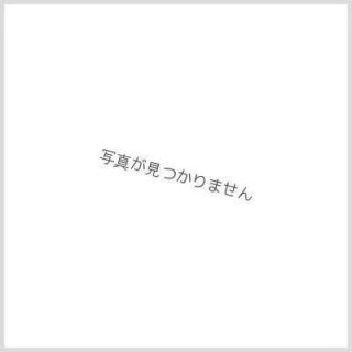 プレイマット『[GP2026-1st]暗黒王デス・フェニックス』【サプライ】{-}
