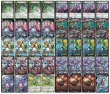 画像2: アナカラーデッドダムド【ver1.0】{40枚}《デッキ販売》 (2)