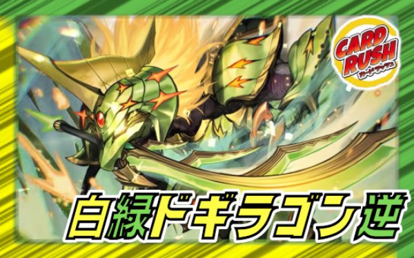 デュエマ リースドギラゴン逆 デッキ 全40枚 白緑ドギラゴン逆【ver1.0】{40枚}《デッキ販売》