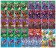 画像2: アナカラーマルル【ver1.3】{40枚}《デッキ販売》 (2)
