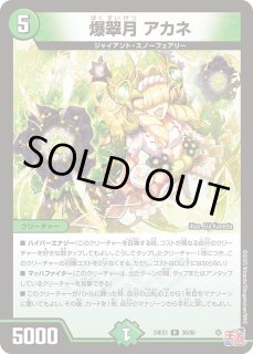 ホビーステーションシングル通販店 / 爆翠月 アサギ