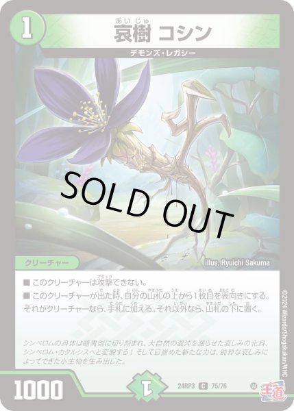 画像1: 哀樹コシン【C】{24RP375/76}《自然》 (1)