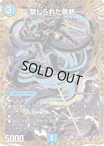 画像1: 〜禁じられた蒸熱〜【R】{25RP3秘16/秘24}《水》 (1)