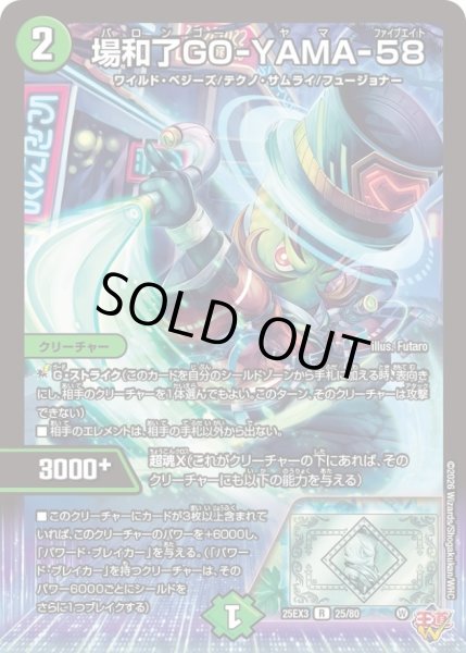 画像1: 〔状態A-〕場和了GO-YAMA-58【R】{25EX325/80}《自然》 (1)