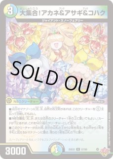 大集合！アカネ＆アサギ＆コハク - カードラッシュDM