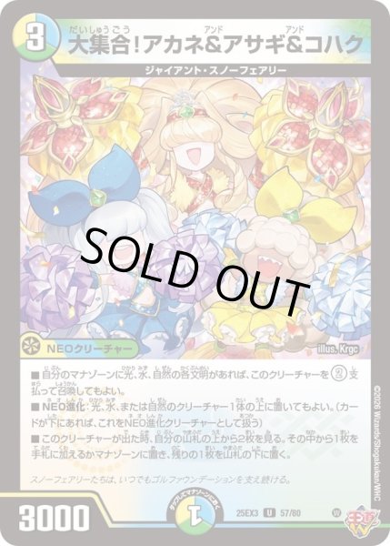 画像1: 〔状態A-〕大集合！アカネ＆アサギ＆コハク【U】{25EX357/80}《多》 (1)