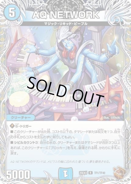画像1: AQNETWORK【R】{25EX3TF1/TF40}《水》 (1)