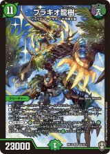 ペテンシーフシギバース 完全新作】ペテンシーフシギバース｜まぐろ