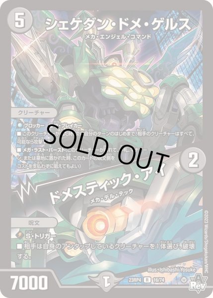 画像1: シェケダン・ドメ・ゲルス/ドメスティック・アイ【R】{23RP416/74}《闇》 (1)