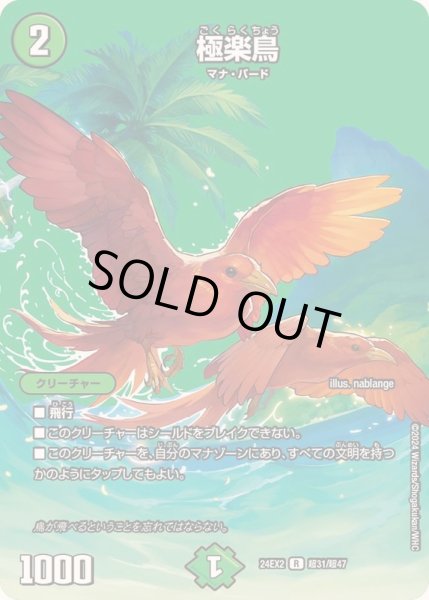 画像1: 極楽鳥【R】{24EX2超31/超47}《自然》 (1)
