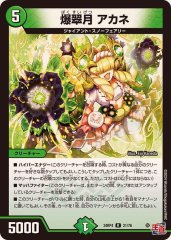 同期の妖精/ド浮きの動悸【R】{24BD522/60}《水》 - カードラッシュDM