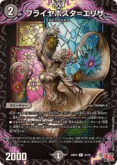 う*ん様 ゼロの裏技 ニヤリー・ゲット【P14/Y24】 Amazon.co.jp: デュエルマスターズ ゼロの裏技ニヤリー・ゲット
