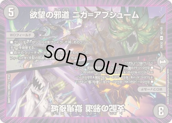 画像1: 〔状態B〕欲望の邪道ニガ=アブシューム/支配の邪道獄鬼夜城【R】{25EX245/105}《闇》 (1)