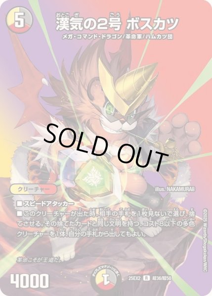 画像1: 〔状態A-〕漢気の2号ボスカツ【R】{25EX2超36/超50}《多》 (1)