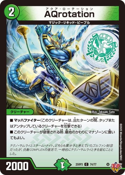 画像1: AQrotation【C】{25RP374/77}《自然》 (1)