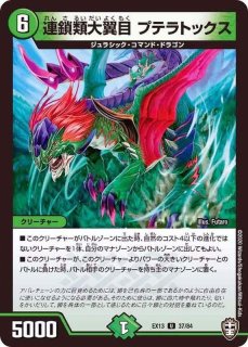 DMRP-19「王来篇拡張パック第3弾 禁断龍VS禁断竜]【-】{-}《未開封BOX》